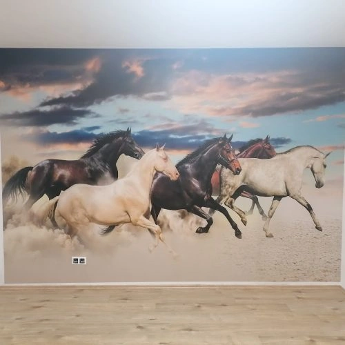 fototapeta kone